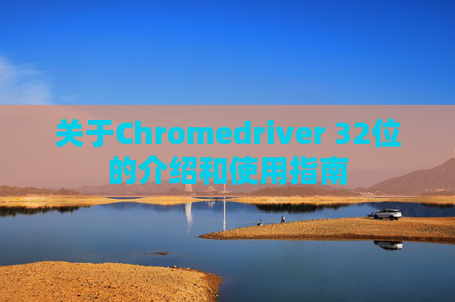 关于Chromedriver 32位的介绍和使用指南